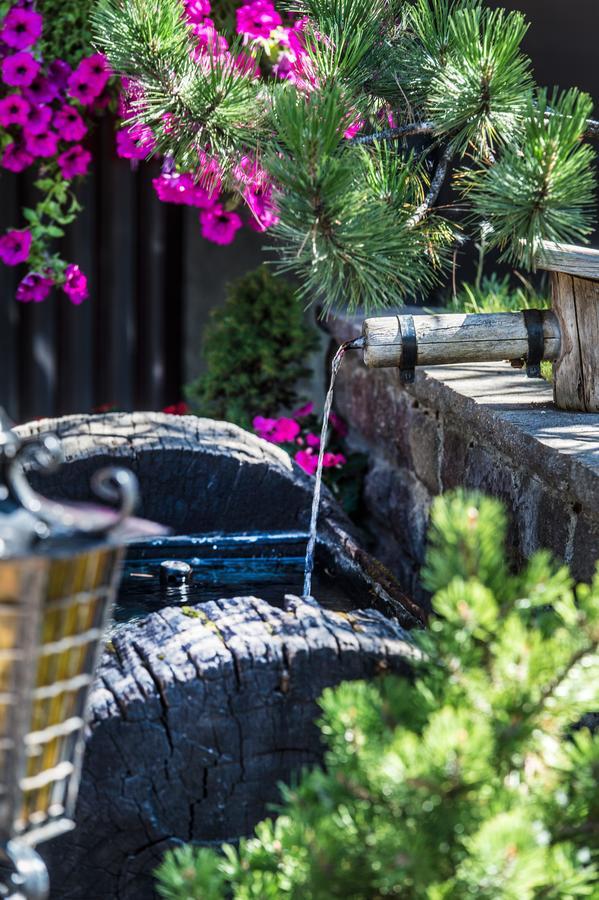 La Truga Hotel Selva di Val Gardena Bagian luar foto