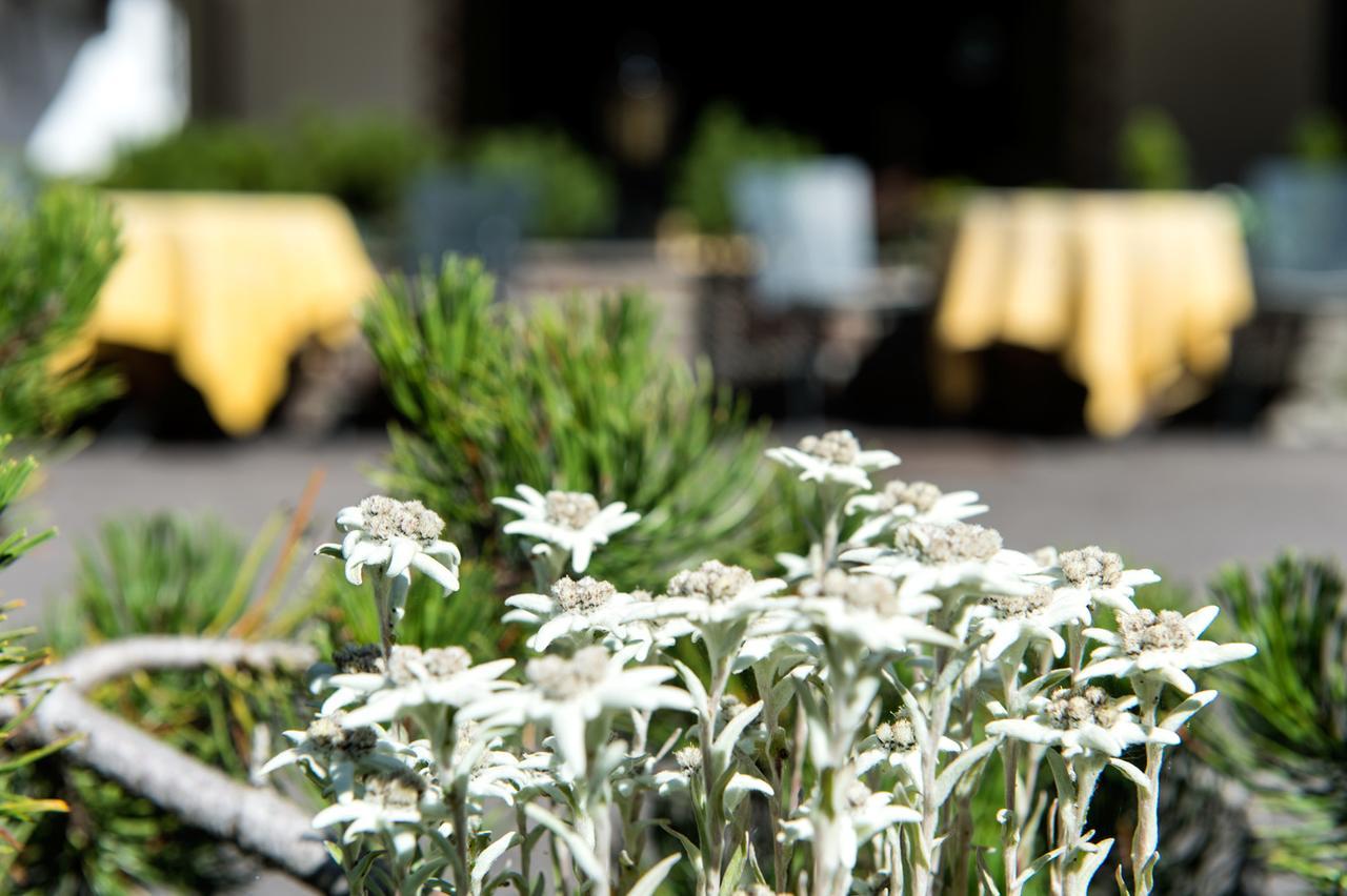 La Truga Hotel Selva di Val Gardena Bagian luar foto