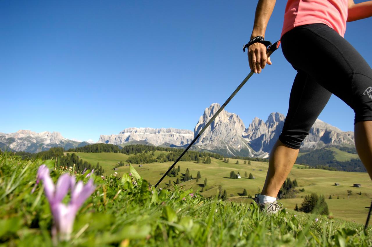 La Truga Hotel Selva di Val Gardena Bagian luar foto